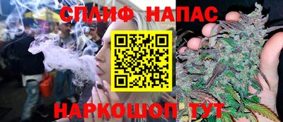 бошки Будённовск
