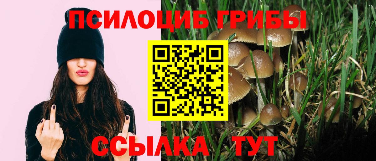 Псилоцибиновые грибы мицелий  Псилоцибиновые грибы GOLDEN TEACHER  Полевской  Вход с VPN 